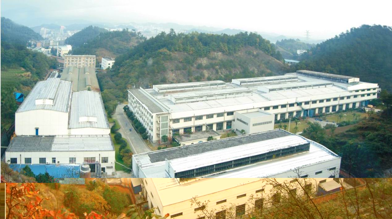 ��˾��� OverLooking compan